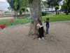 IMG-20250505-WA0028