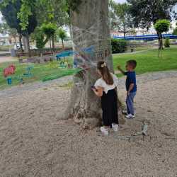 IMG-20250505-WA0028