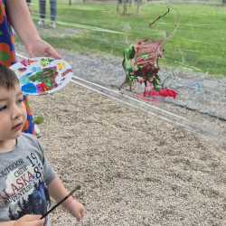 IMG-20250505-WA0077