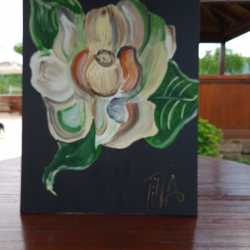 IMG-20220514-WA0038