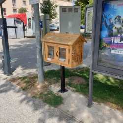 IMG-20220824-WA0046