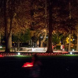 _vukovar171117-1