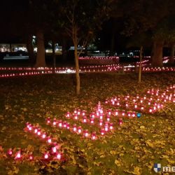 _vukovar171118-29
