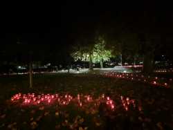 Metkovic-za-Vukovar-Svijece-za-Vukovar-Gradski-park