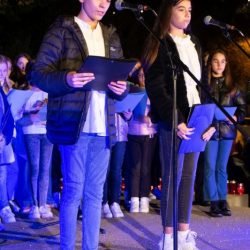 dan-sjecanja-na-vukovar171122_10-533x800