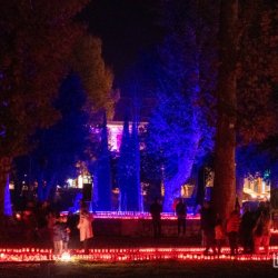 dan-sjecanja-na-vukovar171122_20